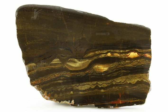 Polished Packsaddle Tiger Eye Slab - Western Australia #290937